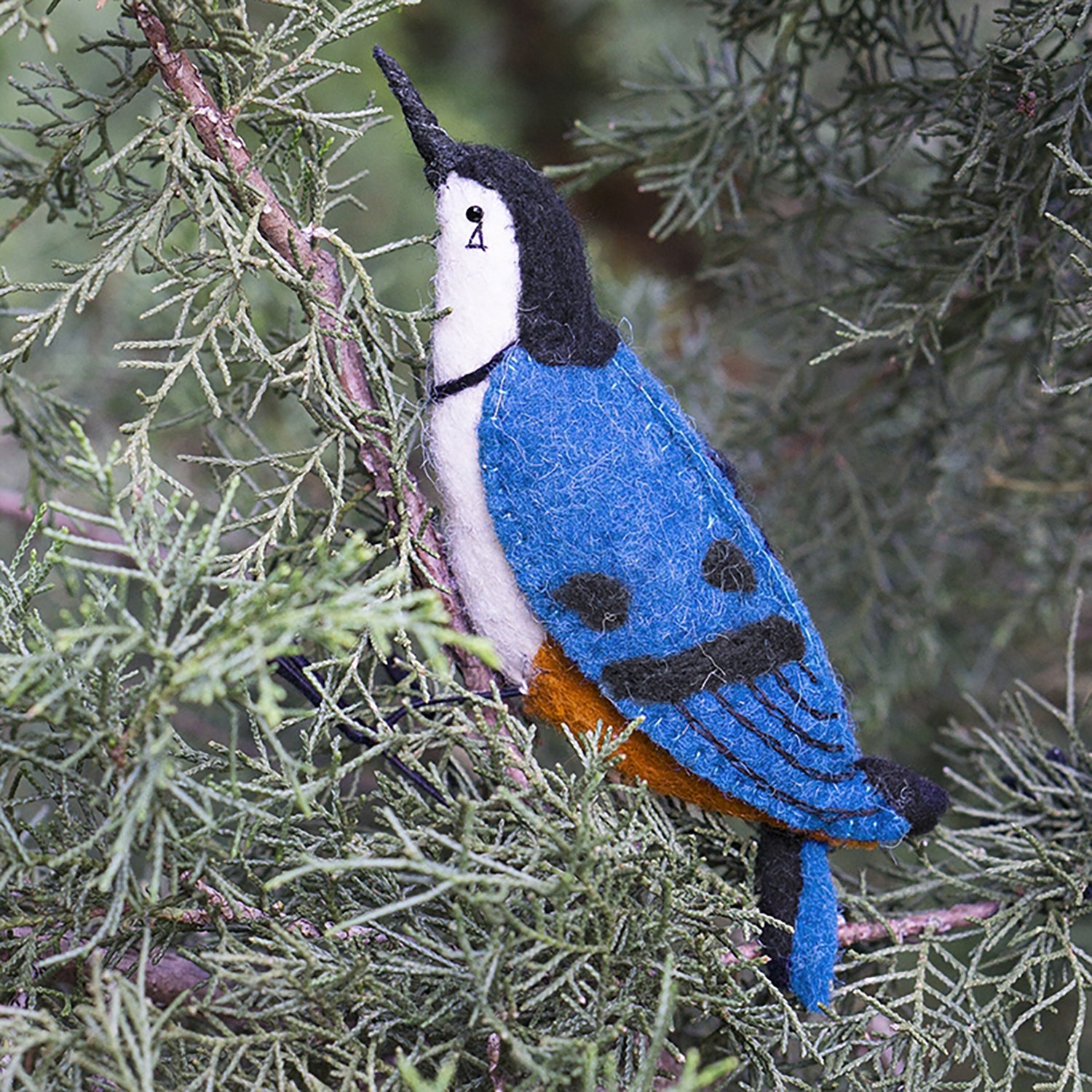 Felt Bird, White-Breasted Nuthatch