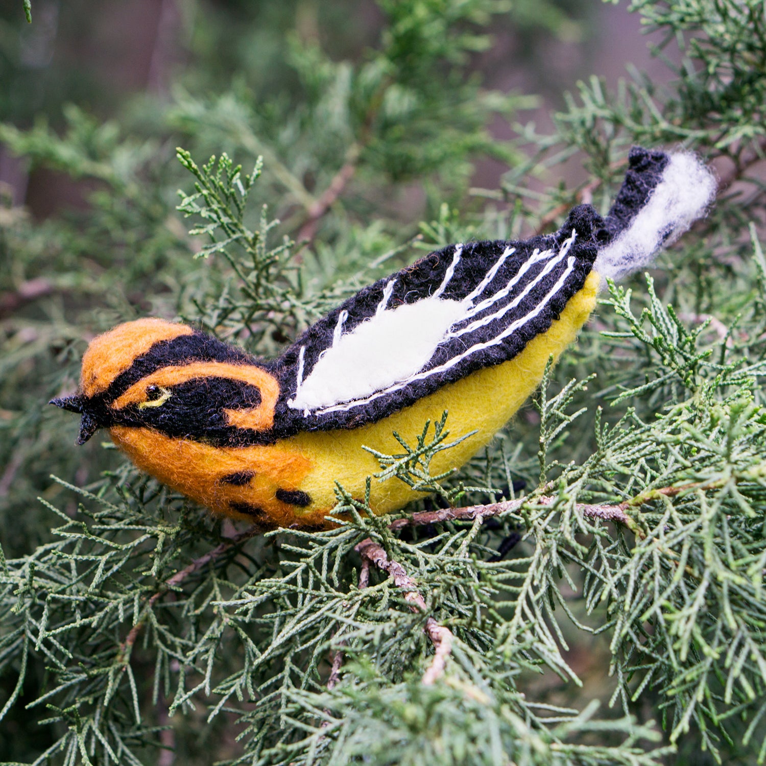 Felt Bird, Blackburnian Warbler