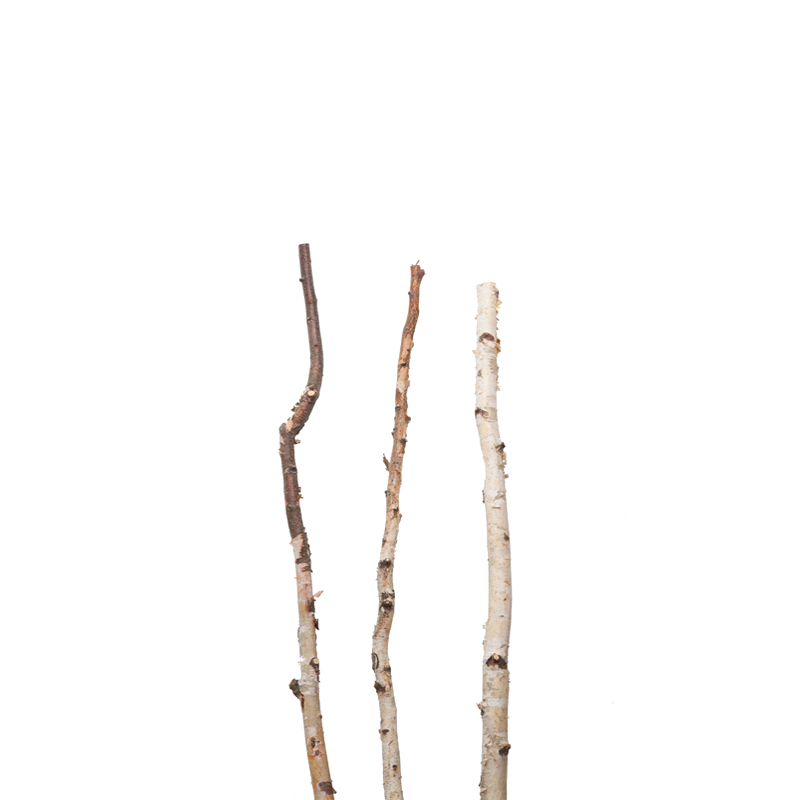 Birch Poles, 72"L, Natural