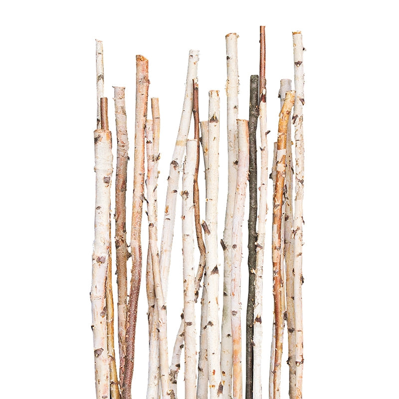 Birch Poles, 72"L, Natural