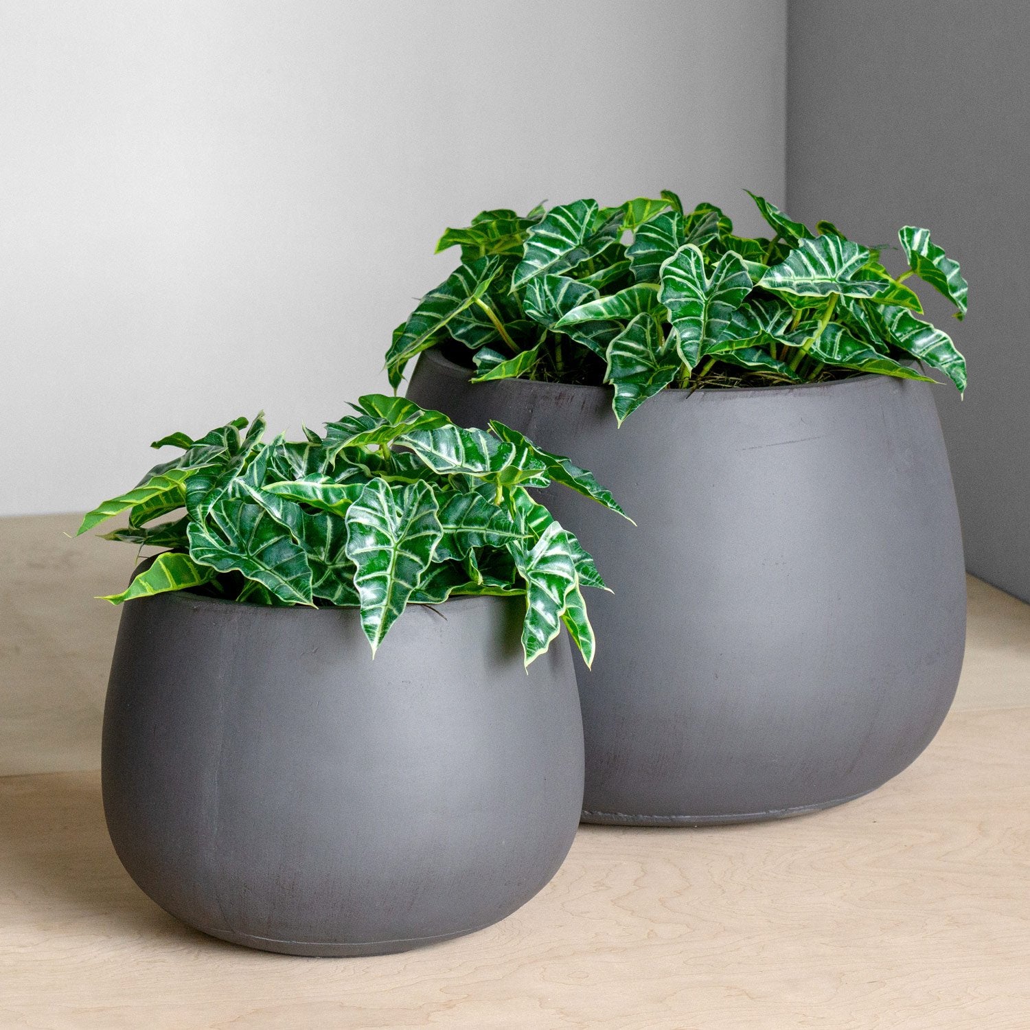 Distressed Smooth: Puddle Planter Grey, Set/ 2
