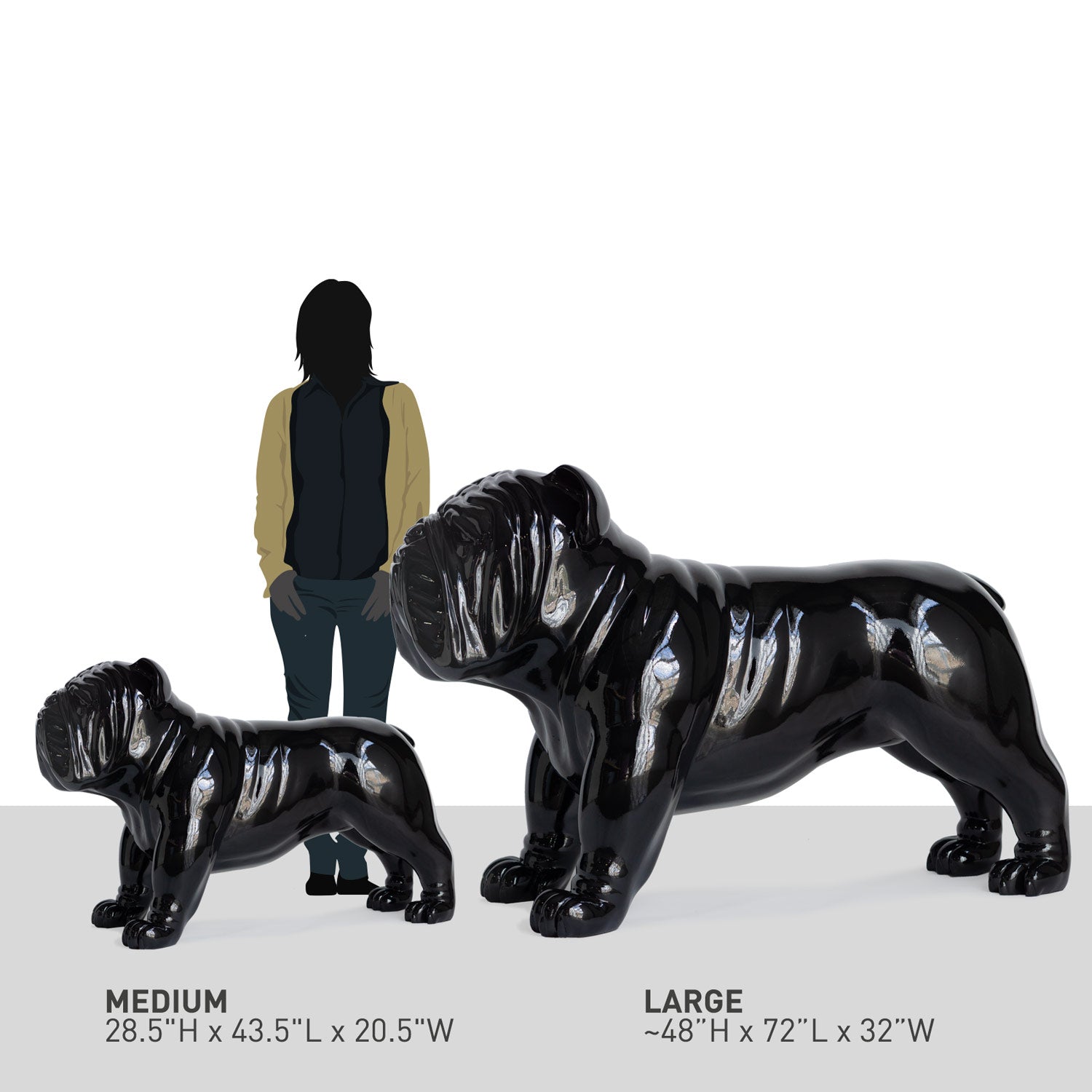 Diagram showing the size comparison of a medium and a large glossy black bulldog sculpture in comparison to a silhouette of a US-average-sized woman.