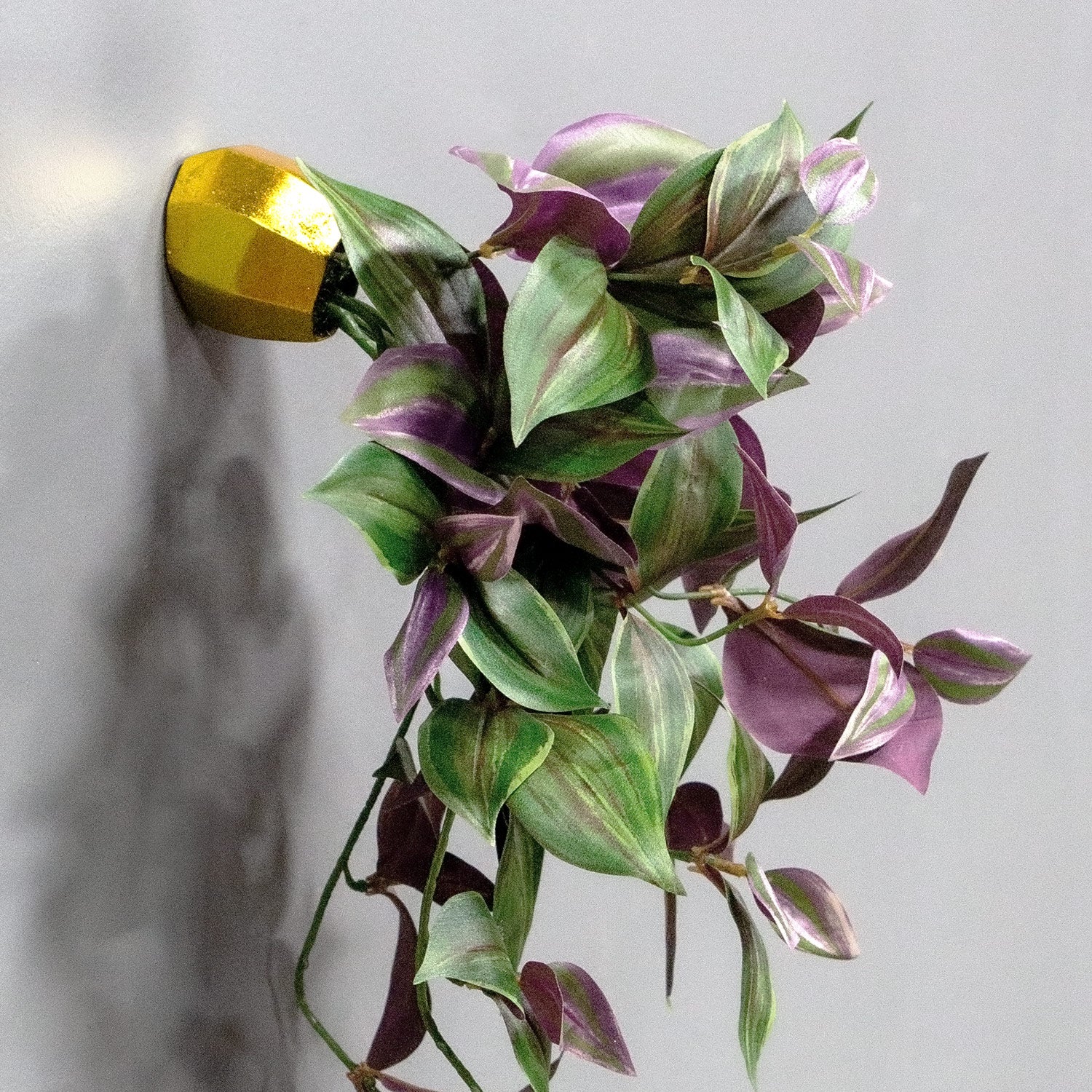 Close up of gold barnacle sculpture mounted on wall with green and purple vine coming out of it.
