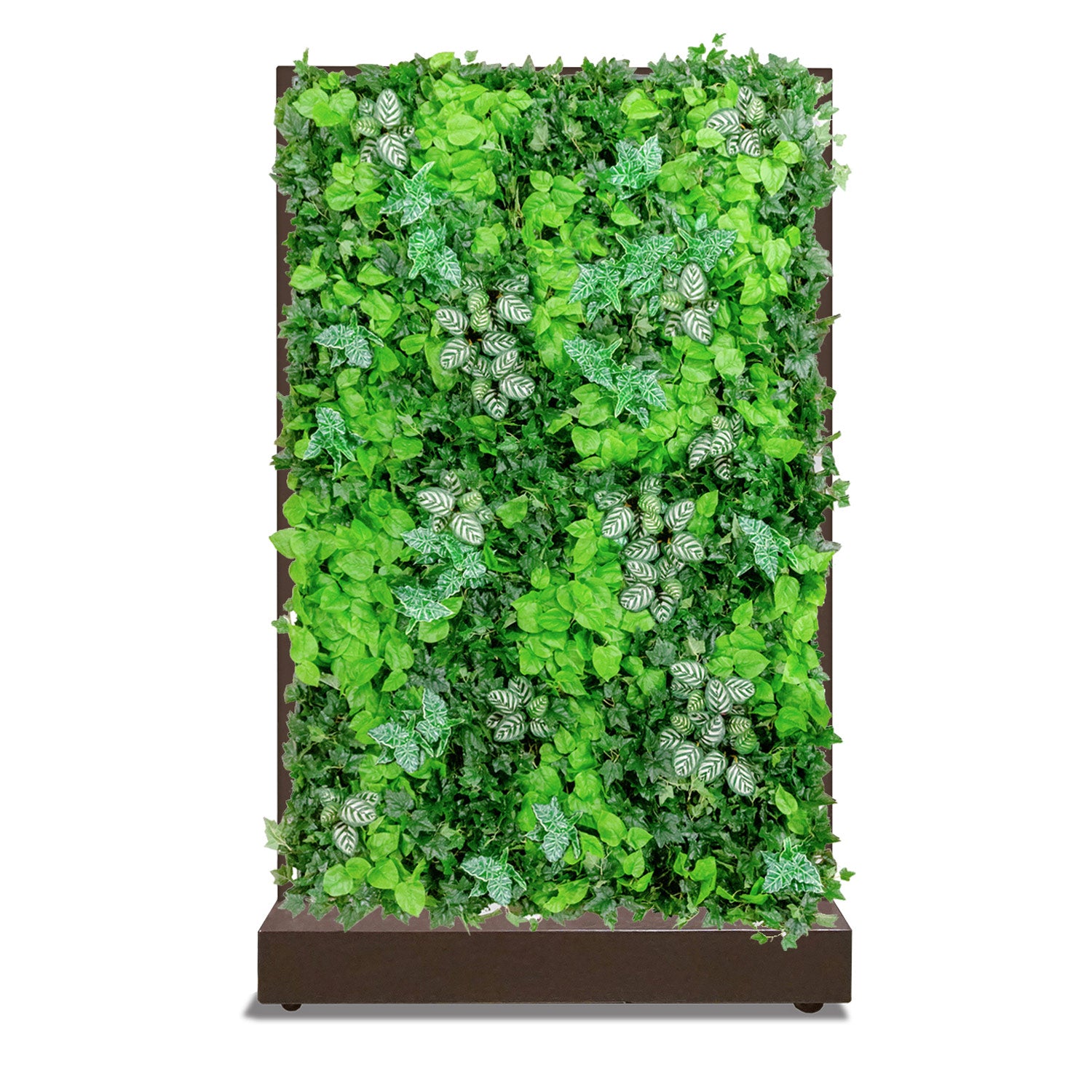 Green Wall, Lush with Movable Partition, Bronze Black