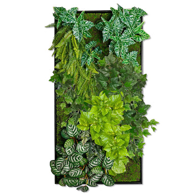Green Wall design in a shadowbox featuring porthos, alocasia, and calathea permanent botanicals.