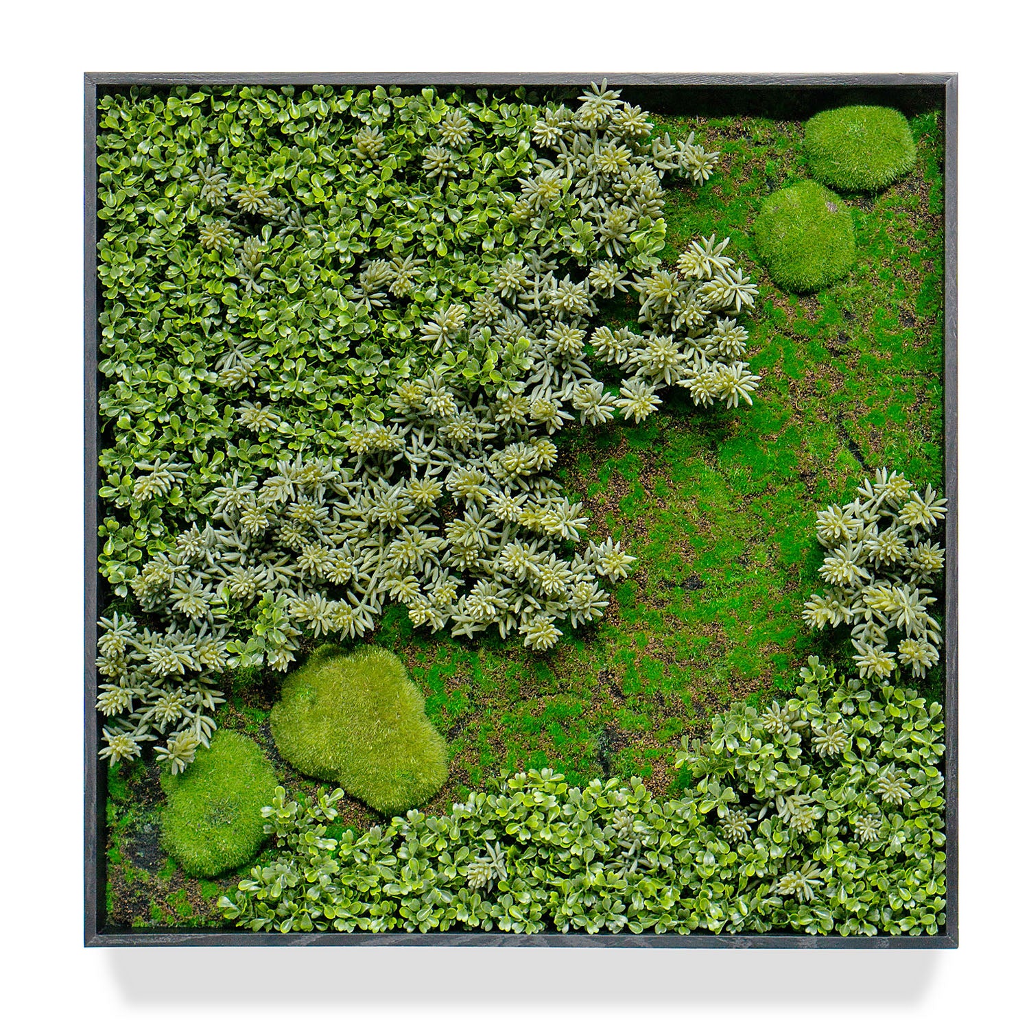 Green Wall, ‘Essex Mix 1’