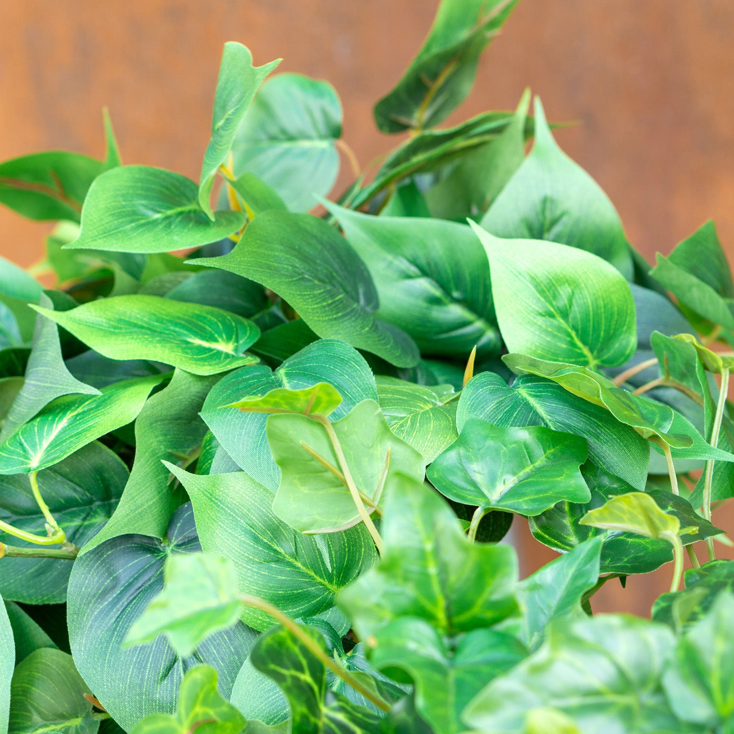 Philodendron Green Heart Leaf in Stainless Moda Planter