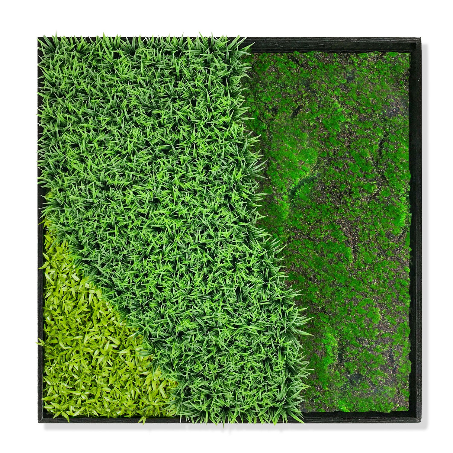 Green Wall, 'Wave Texture 4'