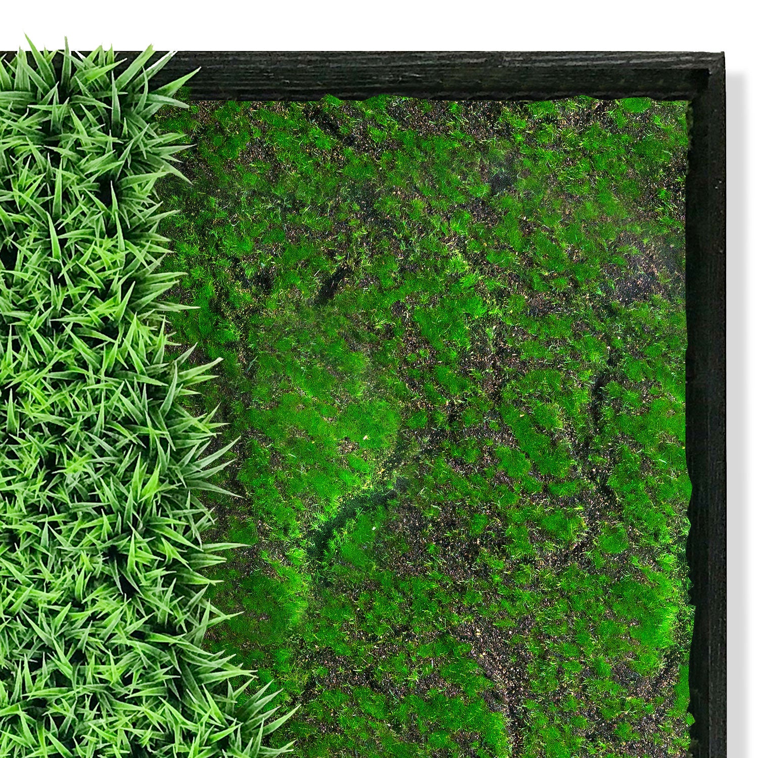 Green Wall, 'Wave Texture 4'