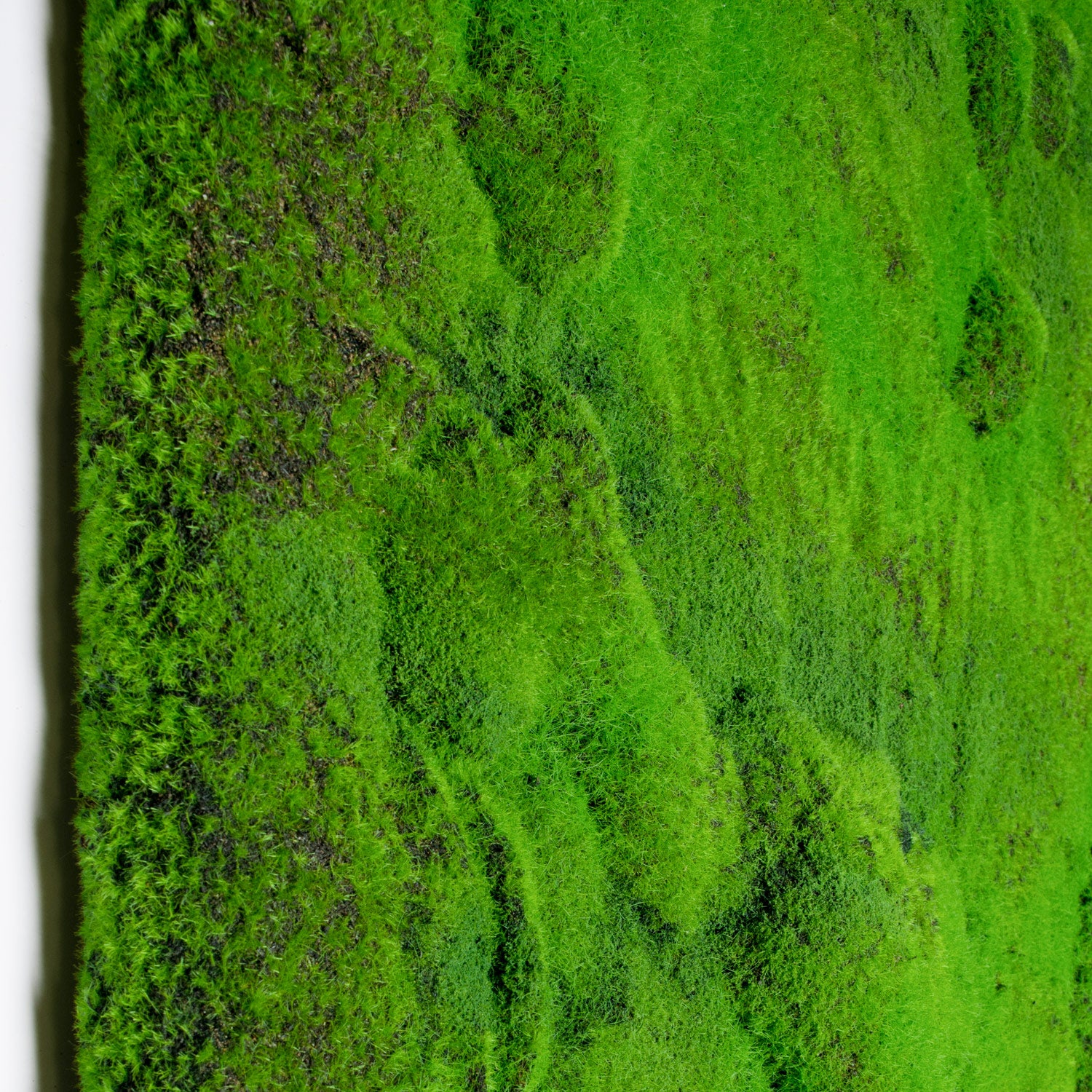 Green Wall, 'New Moss with Texture'