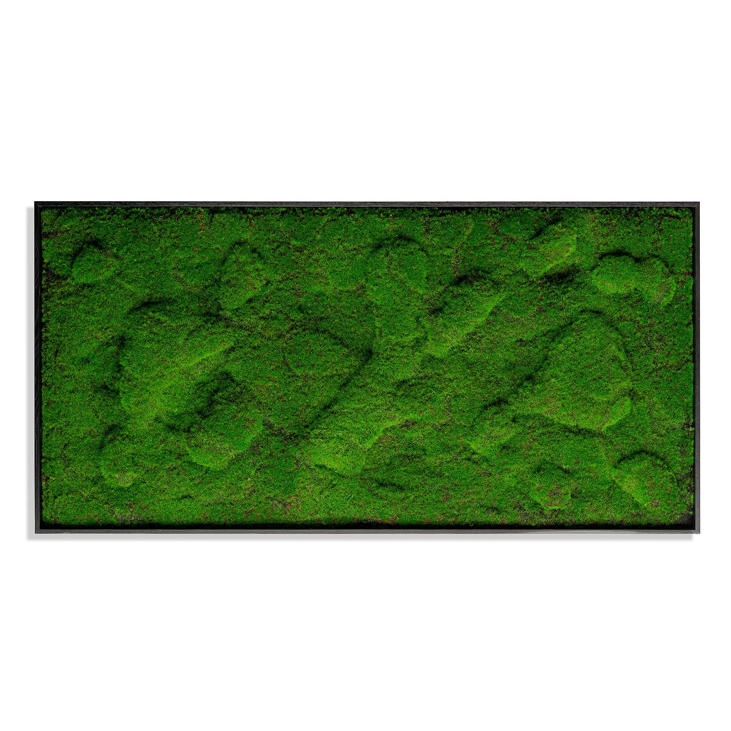 Green Wall, ‘New Moss Rectangle', 50”L
