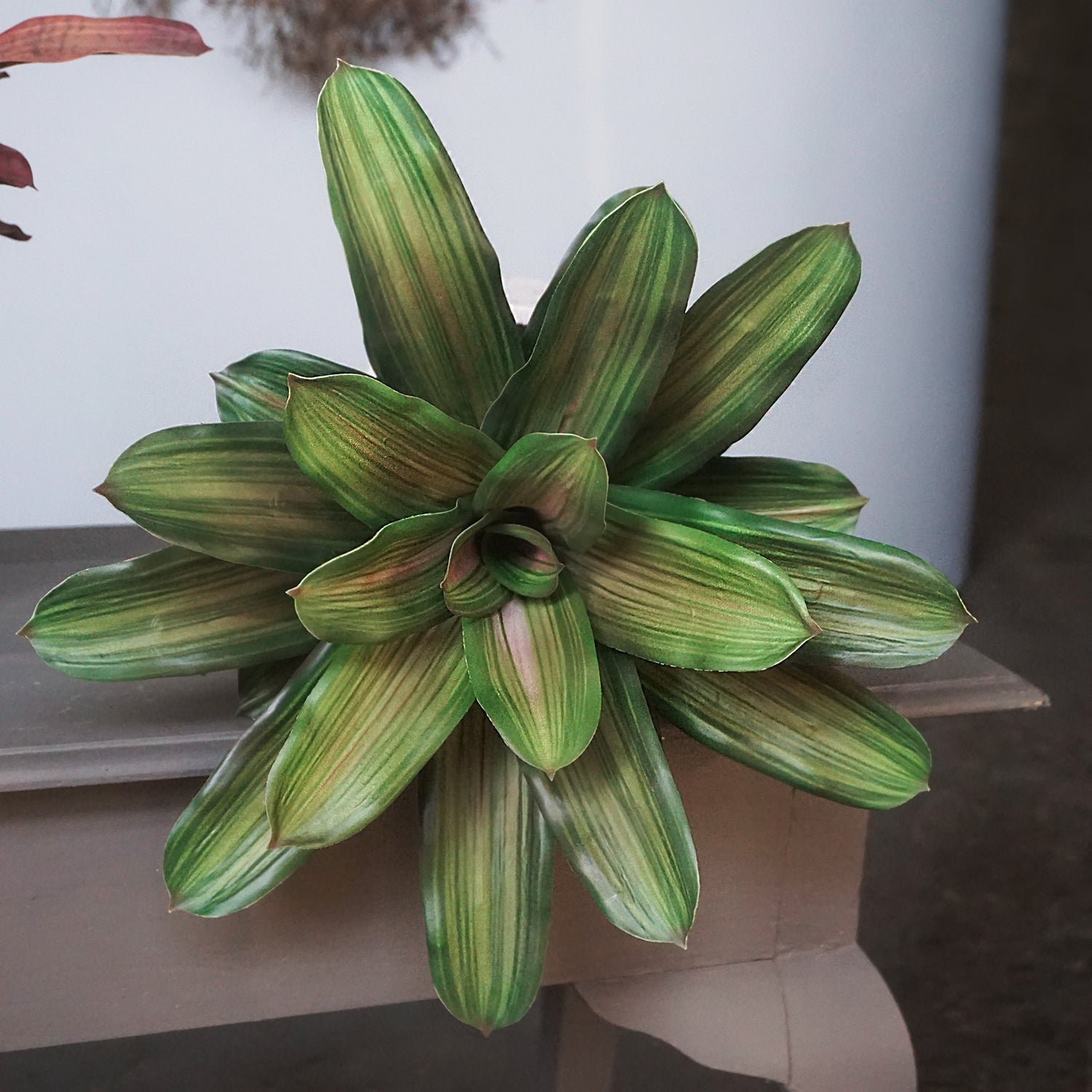 Bromeliad 18"H, Green, Potted