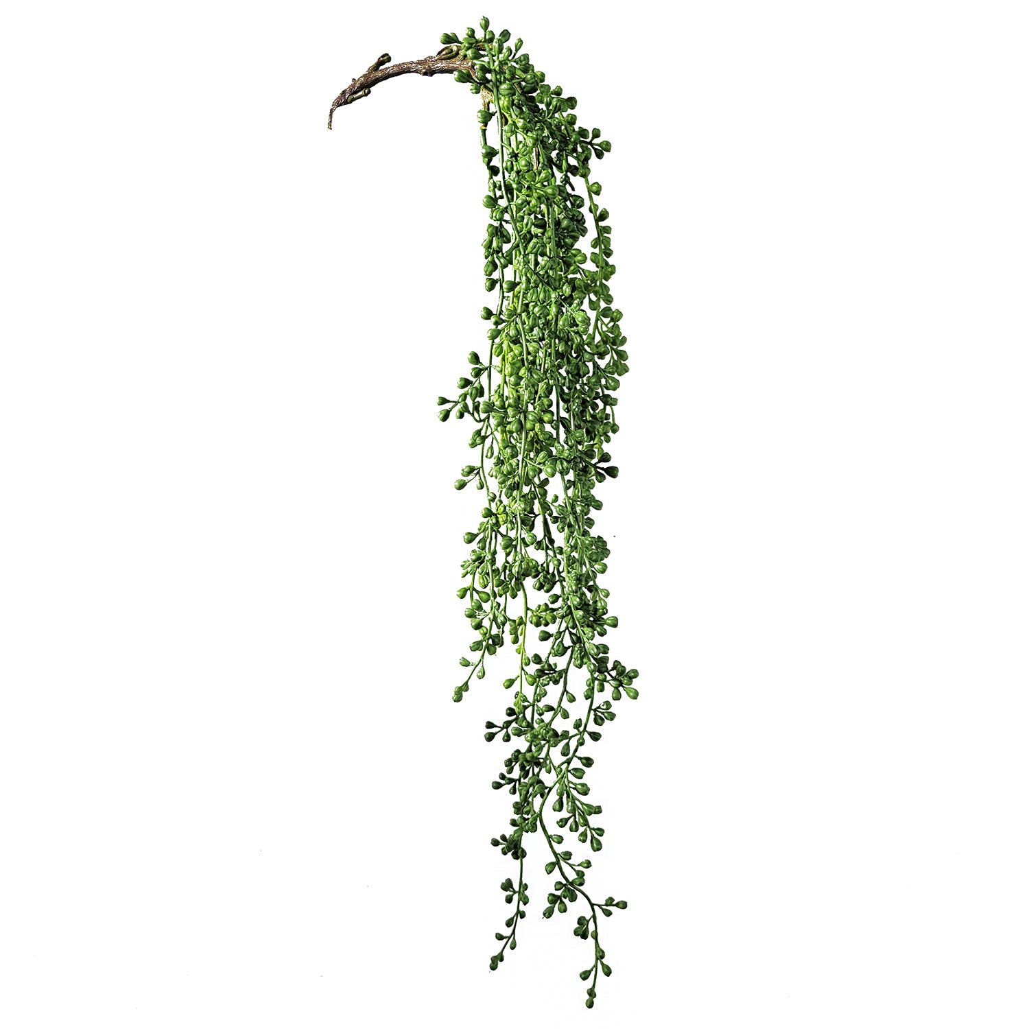 Succulent:  Hanging Sedum Pearls, 29.25"L