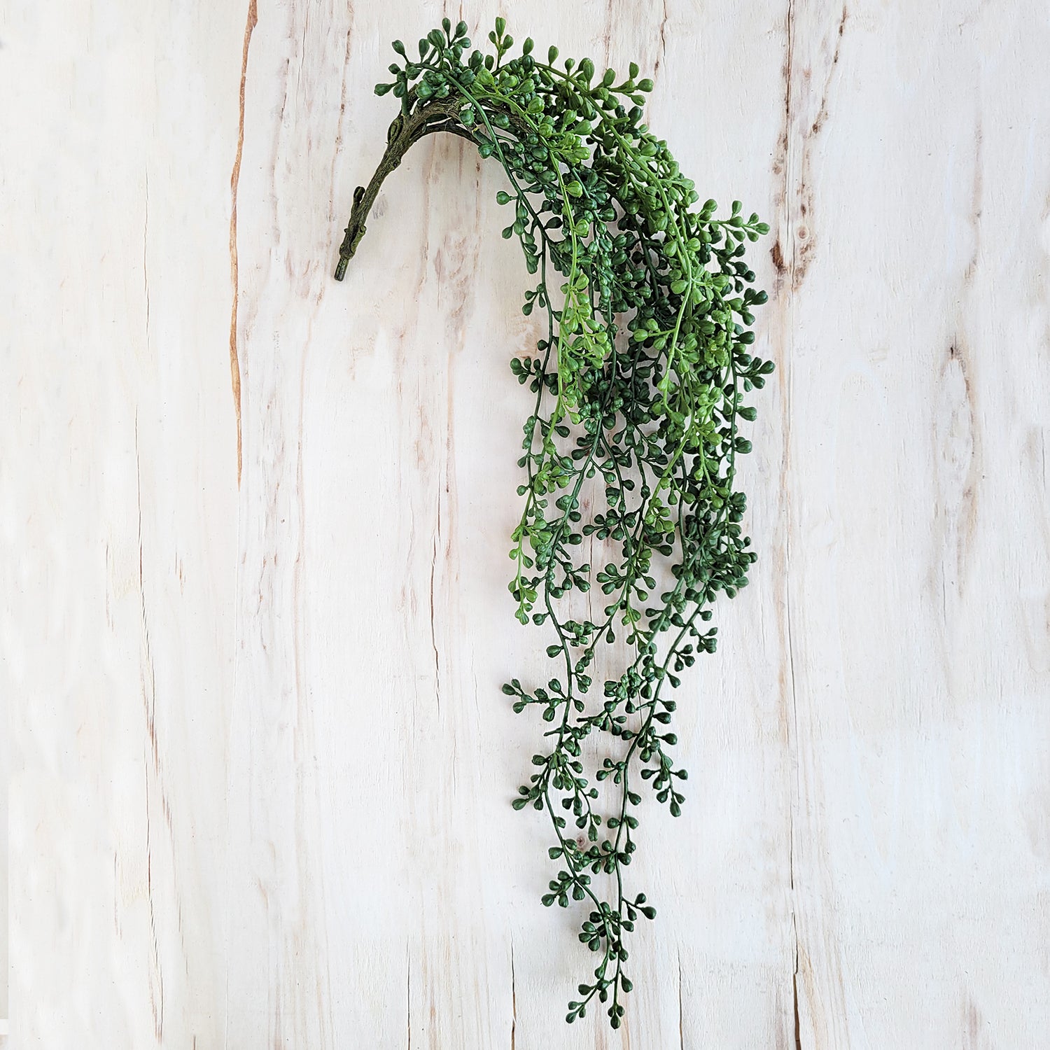 succulent hanging pearls Succulent: Hanging Sedum Pearls, 29.25"L — Gold Leaf Design Group