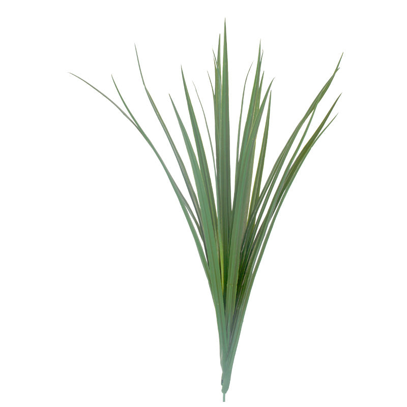 Grass: Liriope Bunch, 23"H