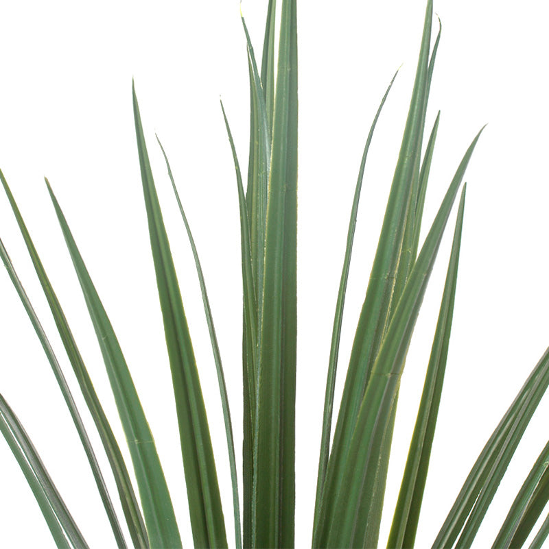 Grass: Liriope Bunch, 23"H