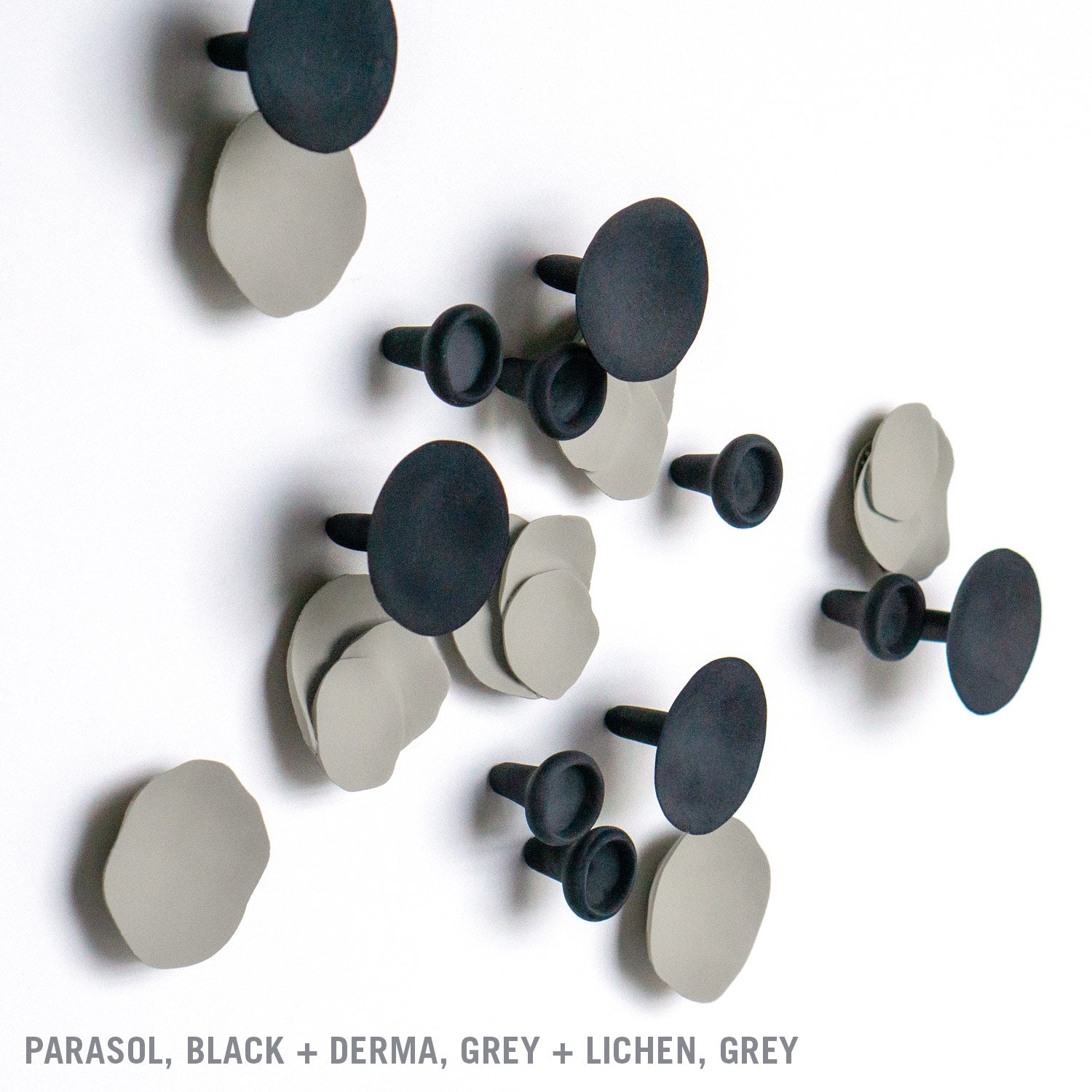 Wall Play™: Lichen, Grey Dove