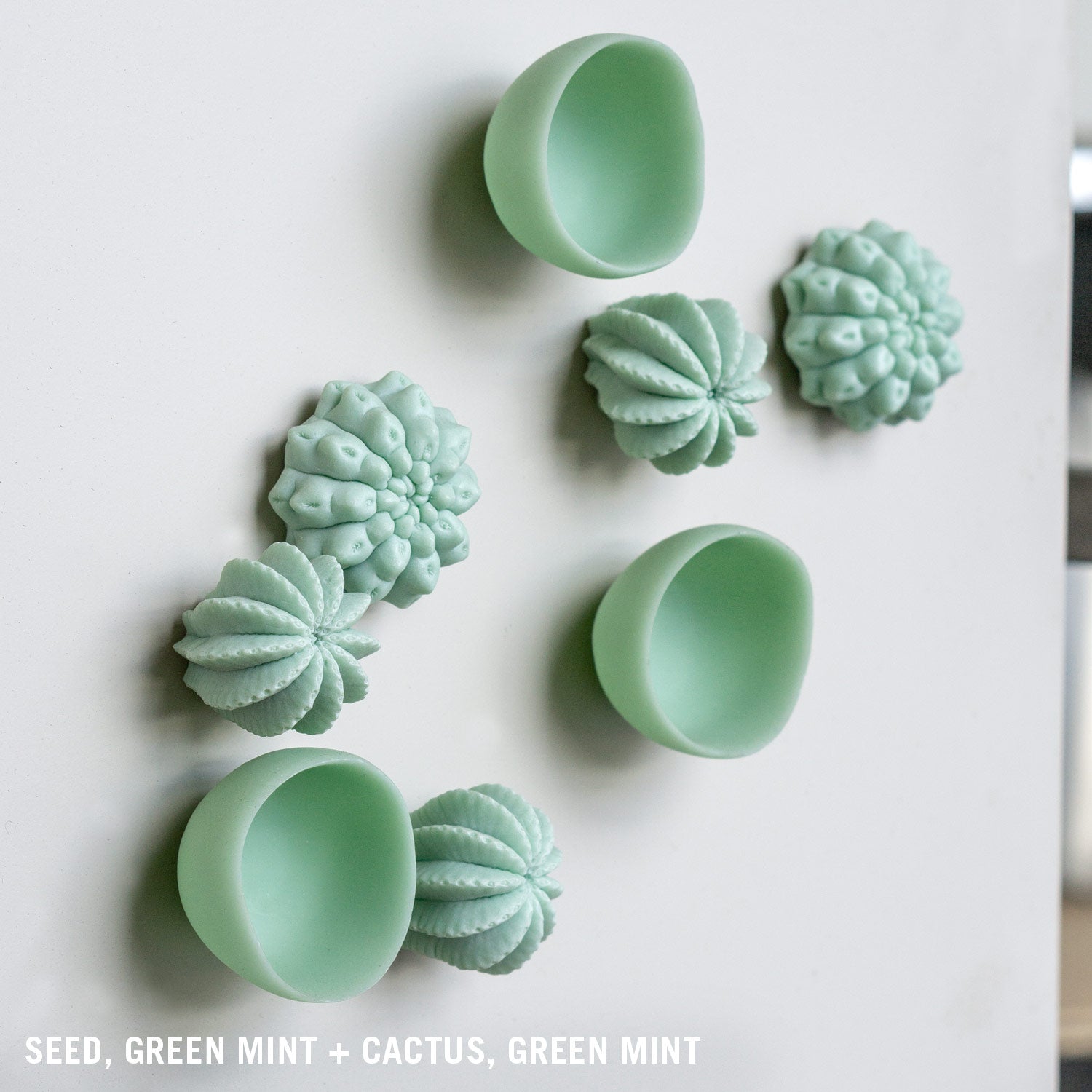 Wall Play™: Cactus, Green Mint, Set/2