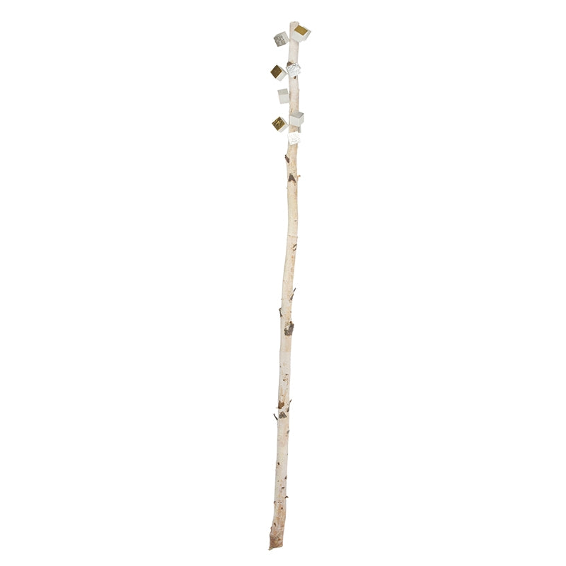 Birch Poles w/ Pivot Wall Play™ (additional freight required)