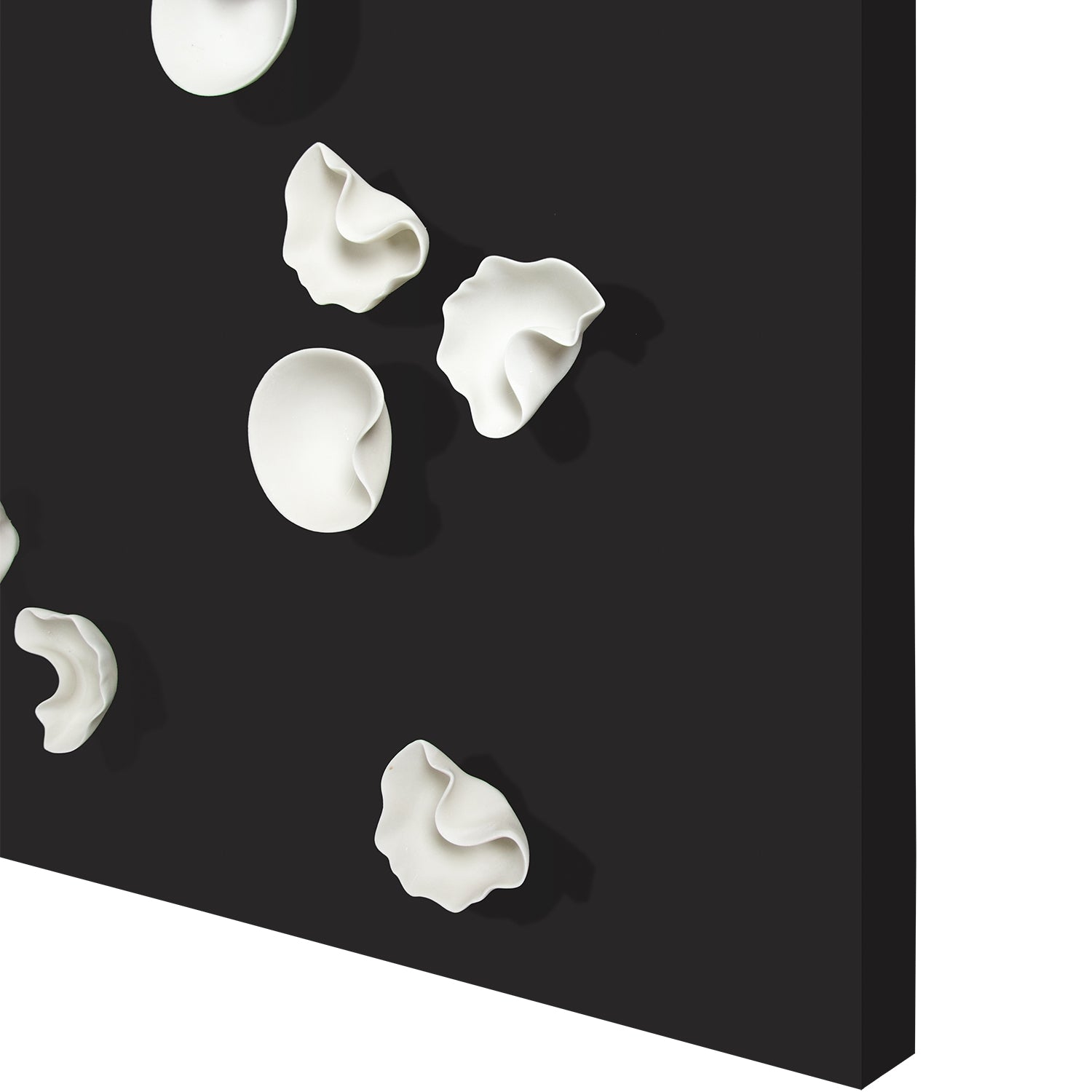 Wall Play™ Substrate Black w/ Organic Off-White