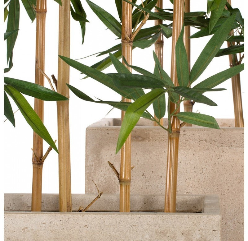 Bamboo Tree 84"H, Potted