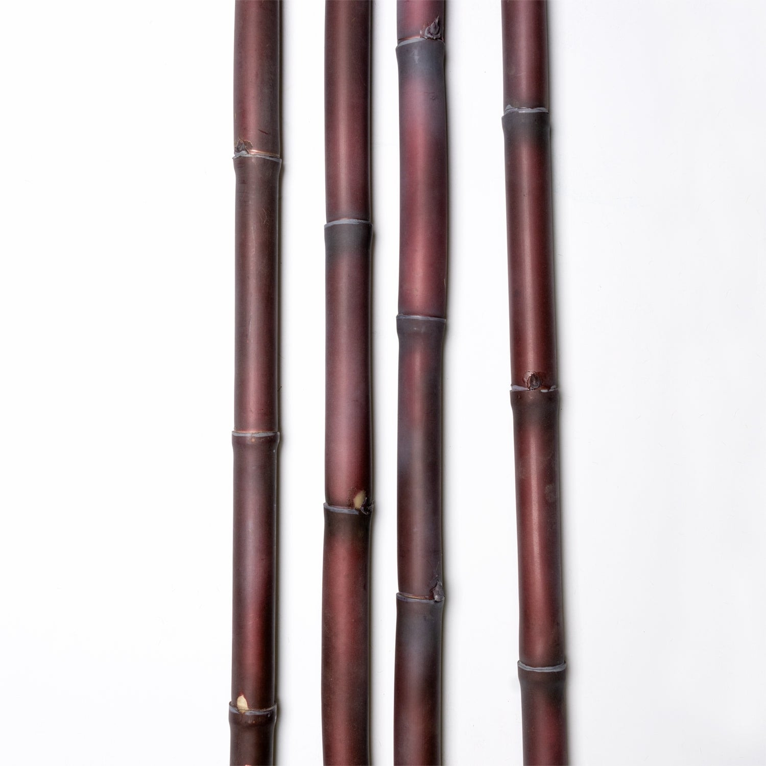 Sugar Cane Pole, Purple (additional freight required)
