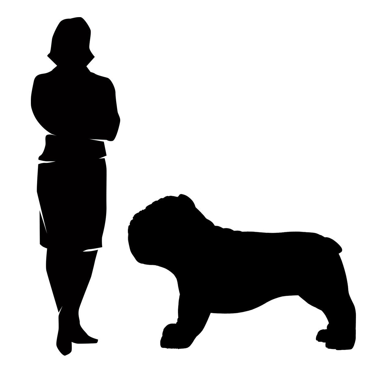 Size comparison of large bulldog as compared to an average sized US woman. Black silhouettes on a white background.