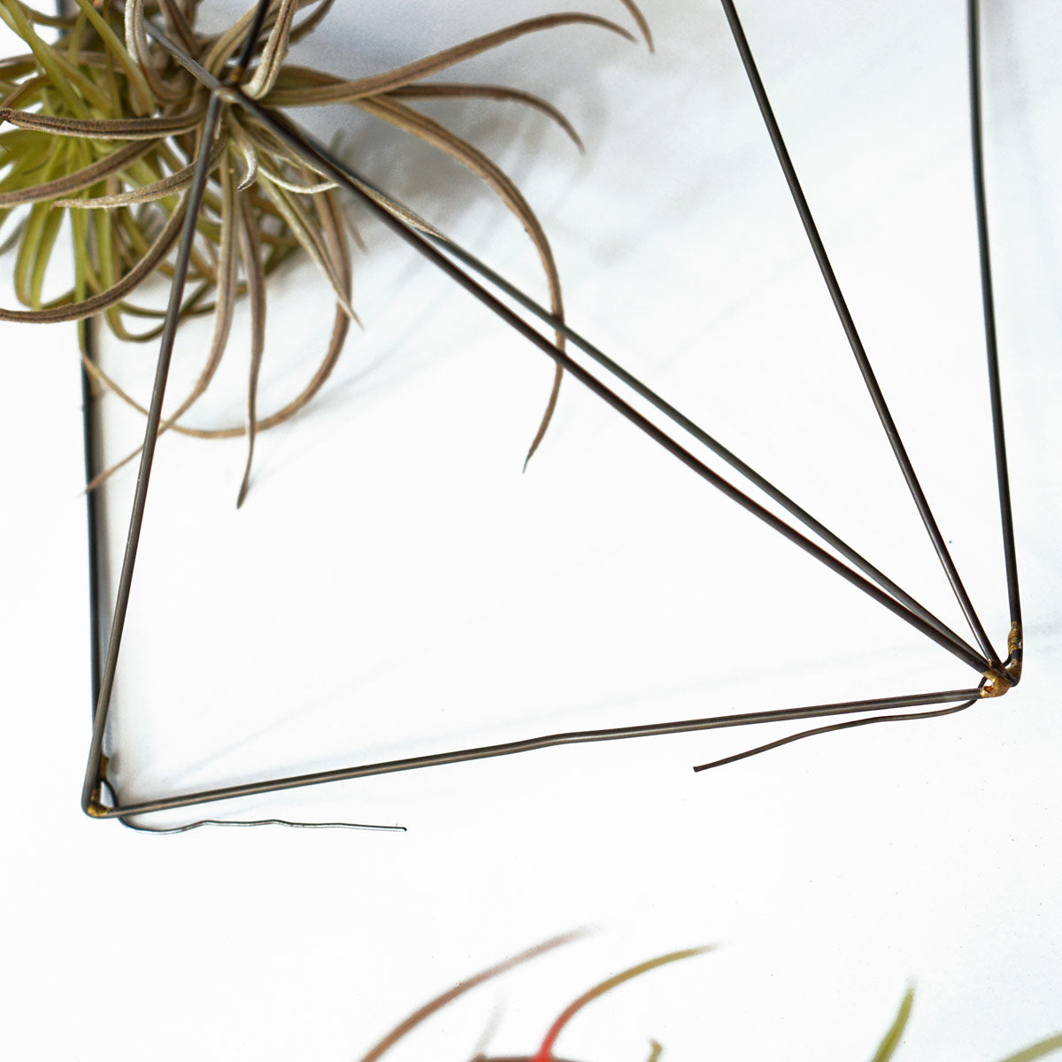 Air Plants on Wire Crystals Set/ 3