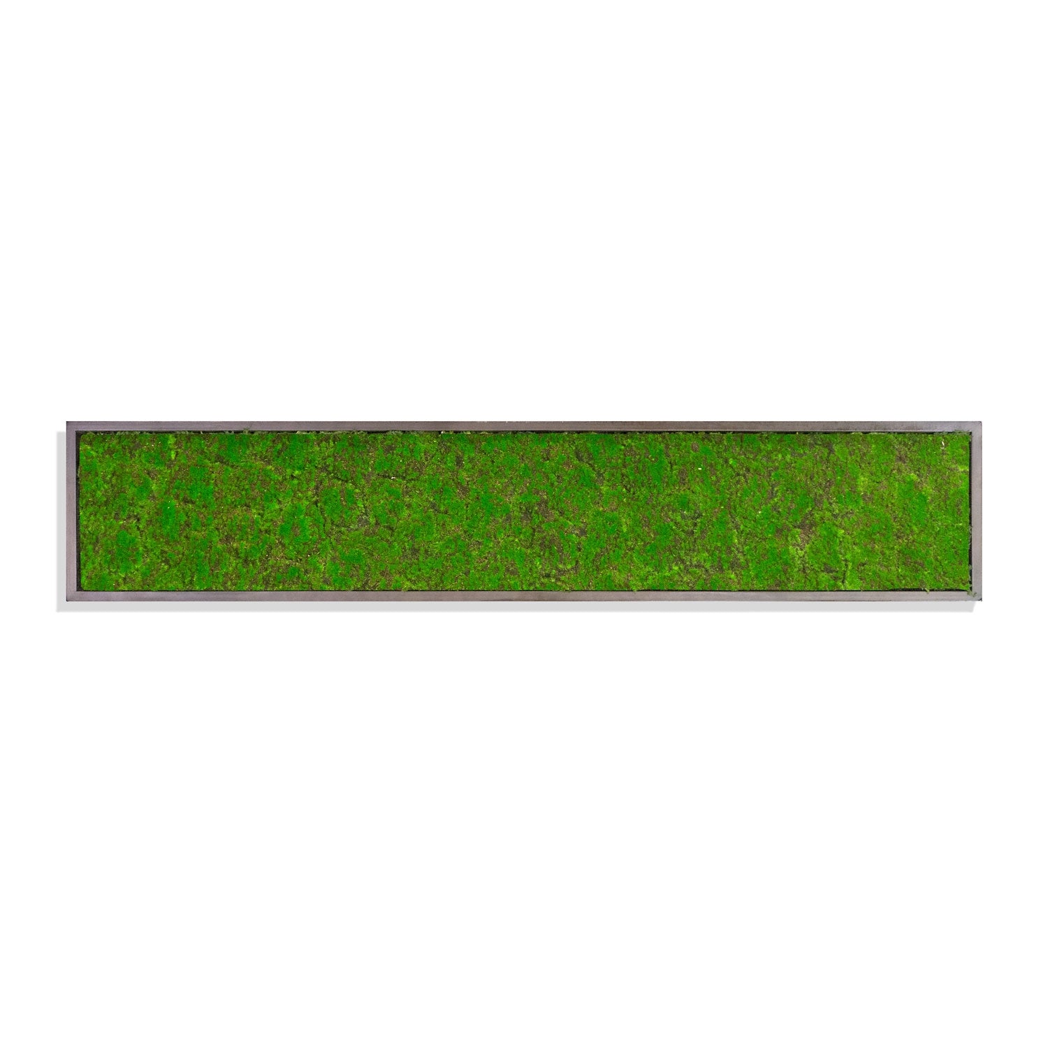 Green Wall, ‘New Moss Rectangle’, 62.5"L