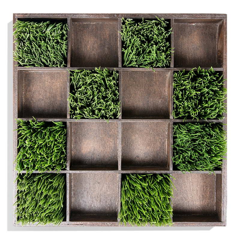 Green Wall, Pixelated Wheatgrass