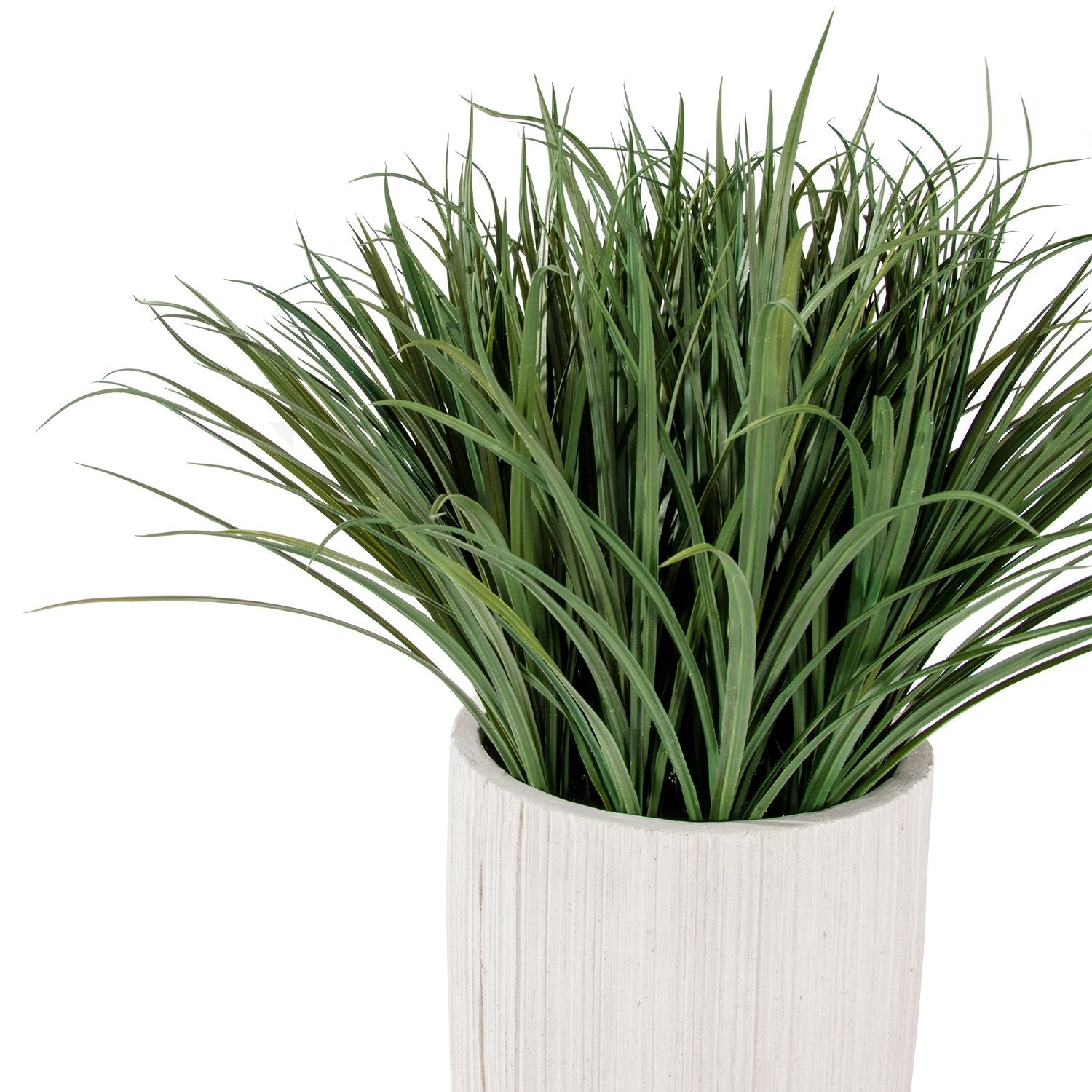 Grass: Liriope in Linea Planter