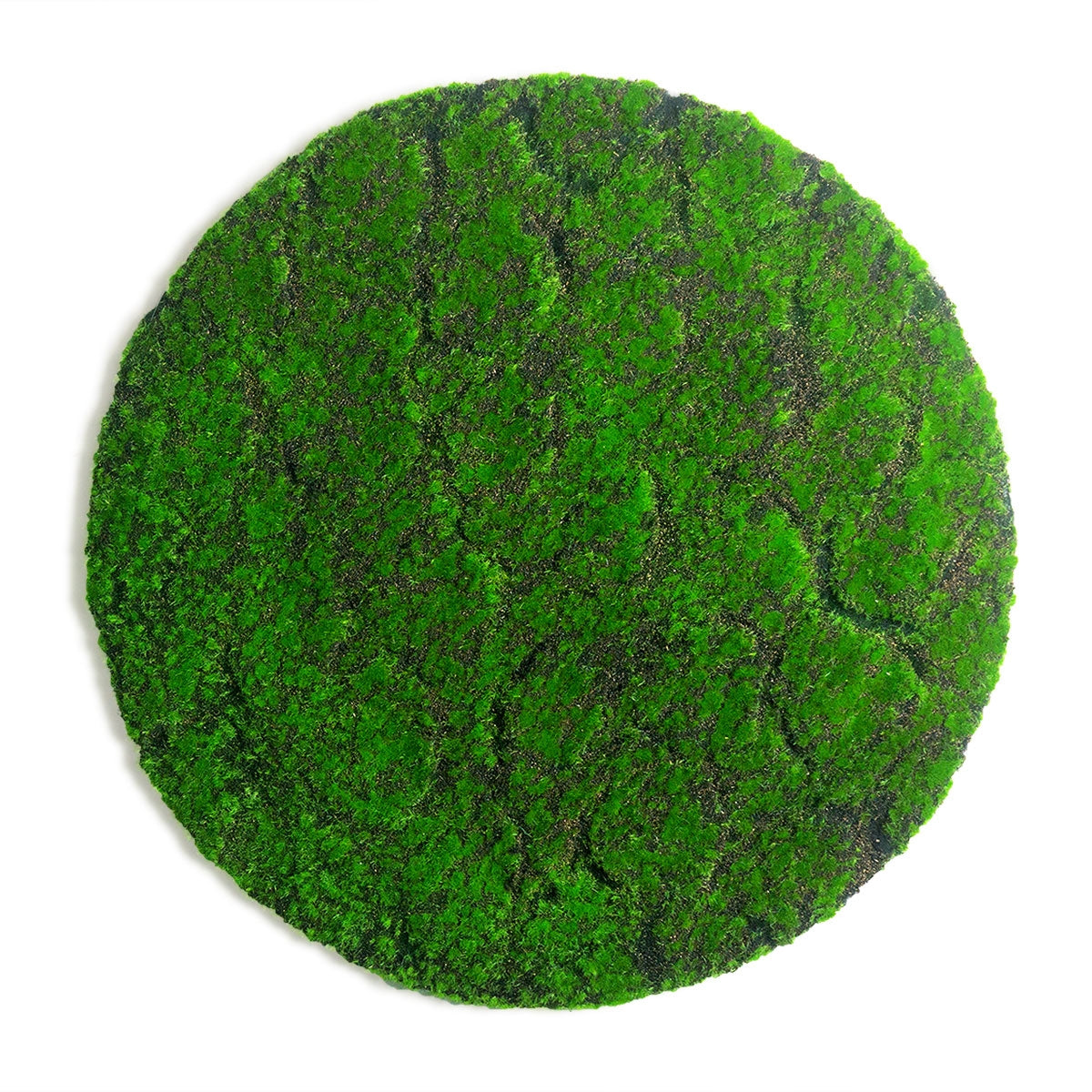 Green Wall Shape, Disc, 'New Moss', 19" - 25"