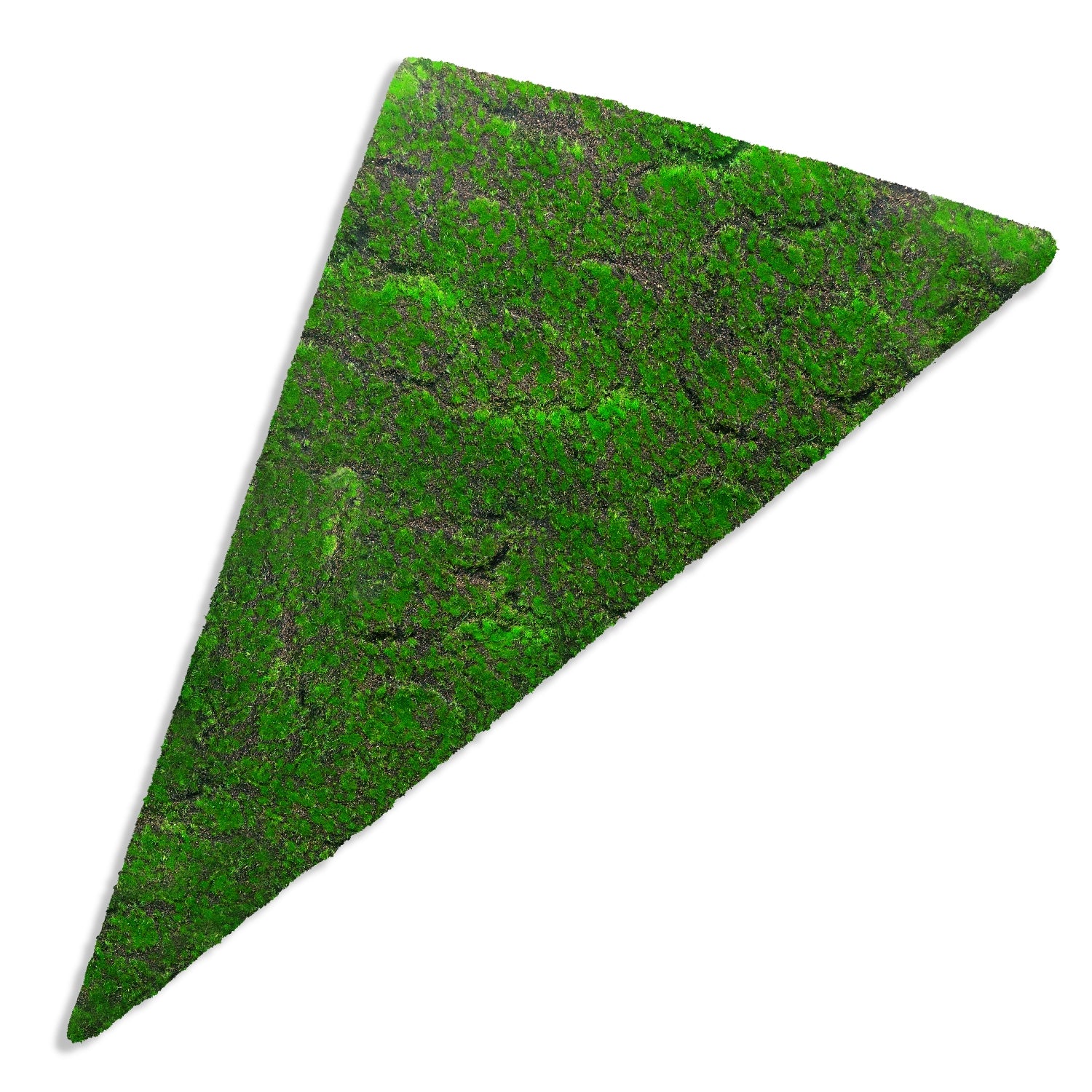 Green Wall Shape, Triangle, 'New Moss'