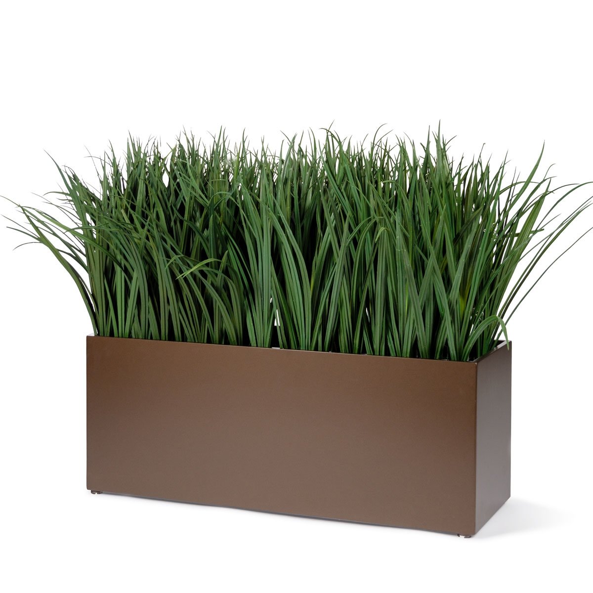 Grass: Liriope Bunch, 23"H