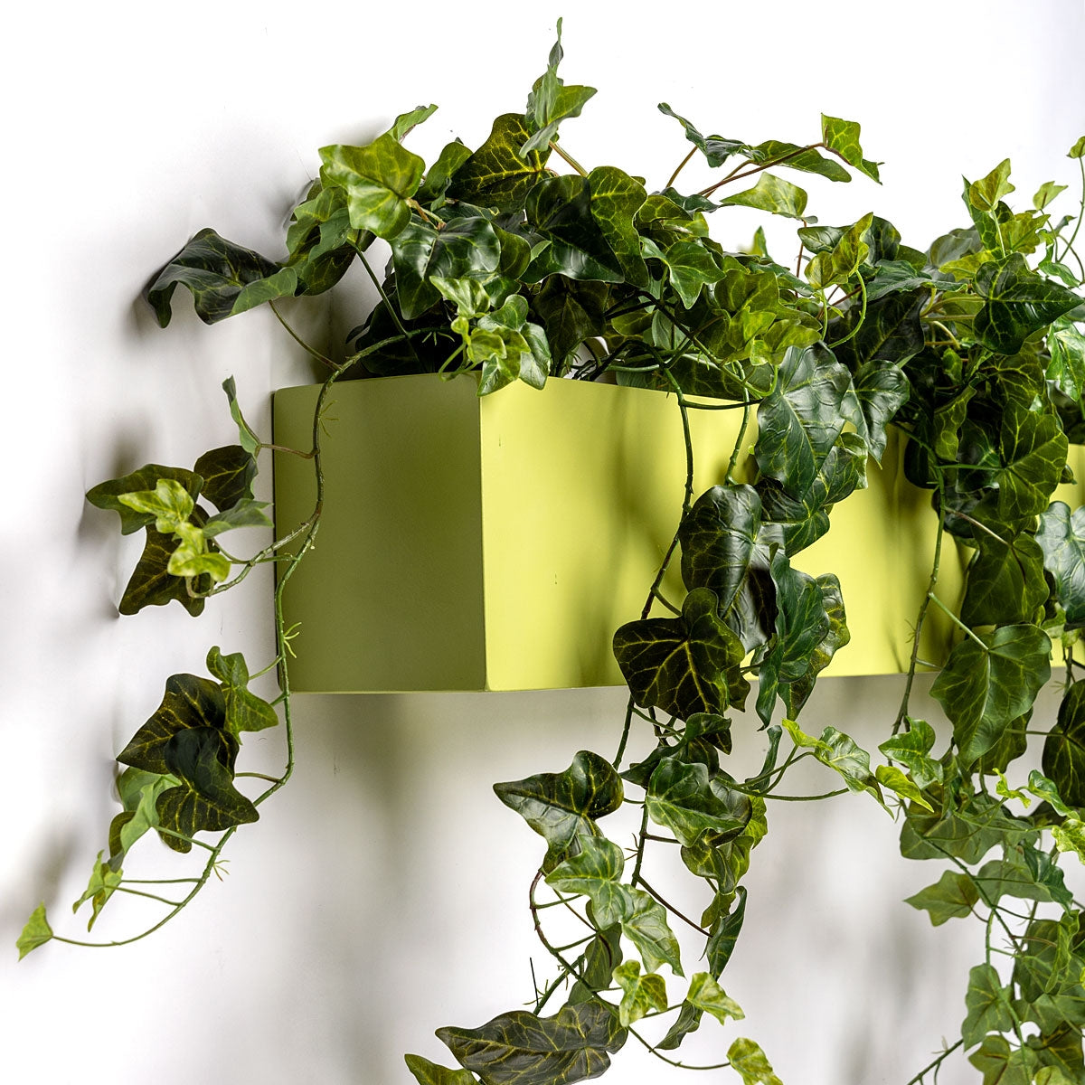 Green Wall, Ivy Planter, Parrot Green Color — Gold Leaf Design Group