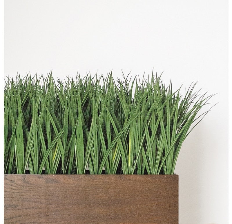 Grass: Liriope in Rectangle Planter with Legs