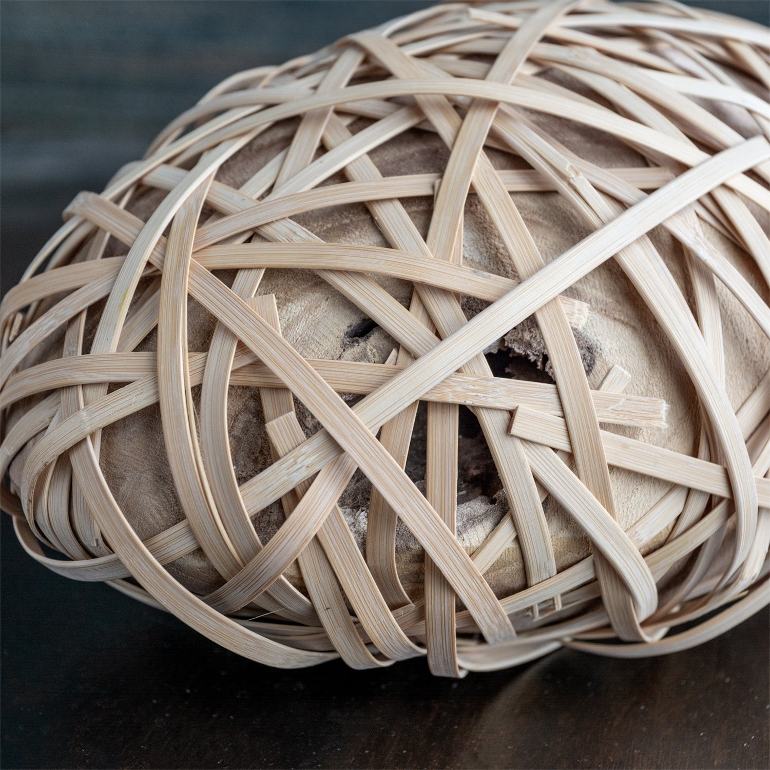 Bamboo & Wood Sculpture, LG
