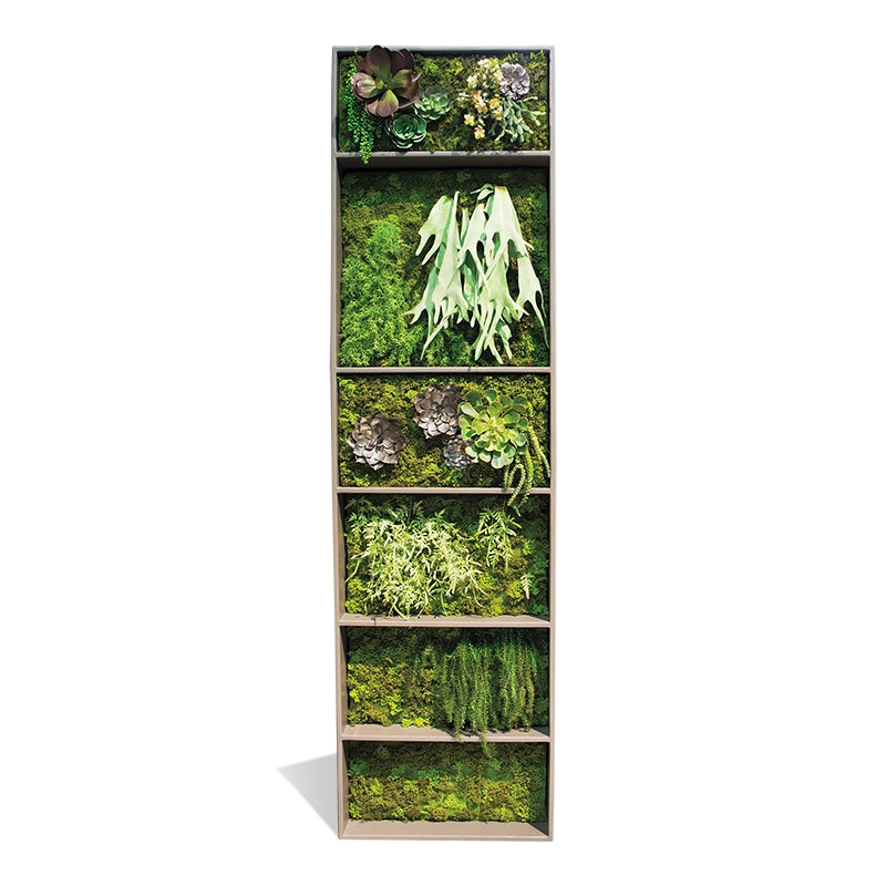 plant wall rack Shelf: Plant, Bookshelf, Ledge Planting — Gold Leaf Design Group